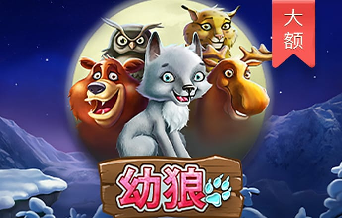 bibo必博体育